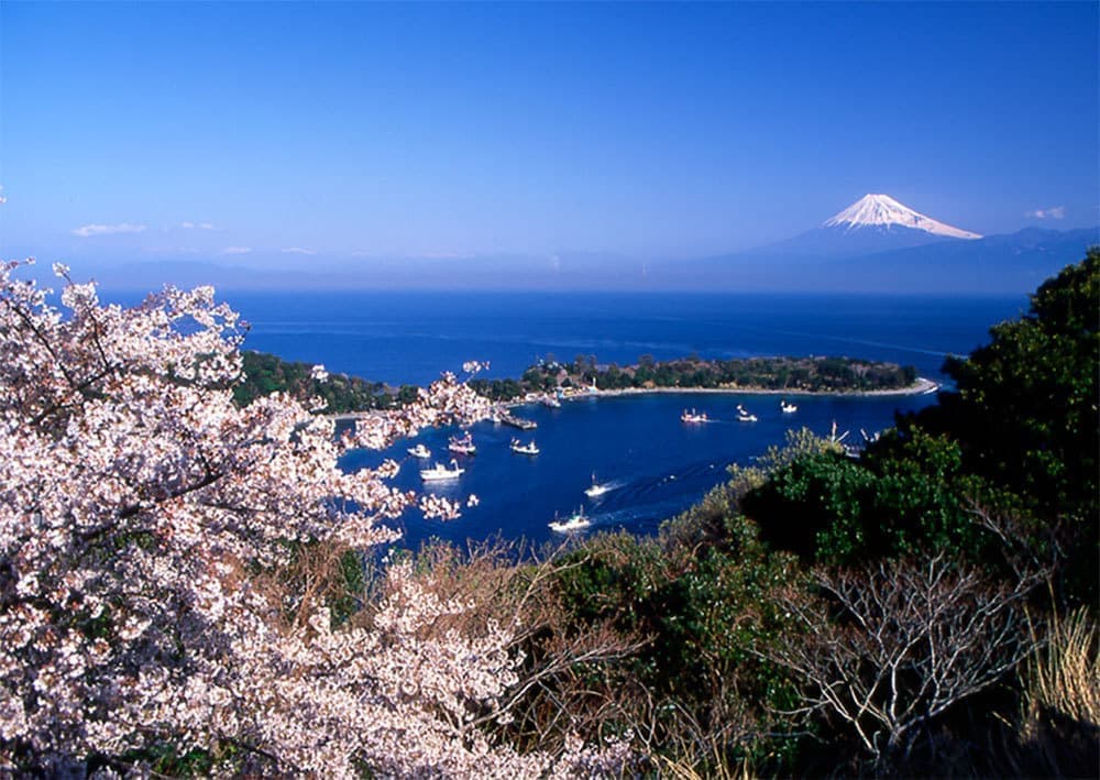 富士山　駿河湾　 西伊豆　大瀬崎・大瀬海浜商業組合