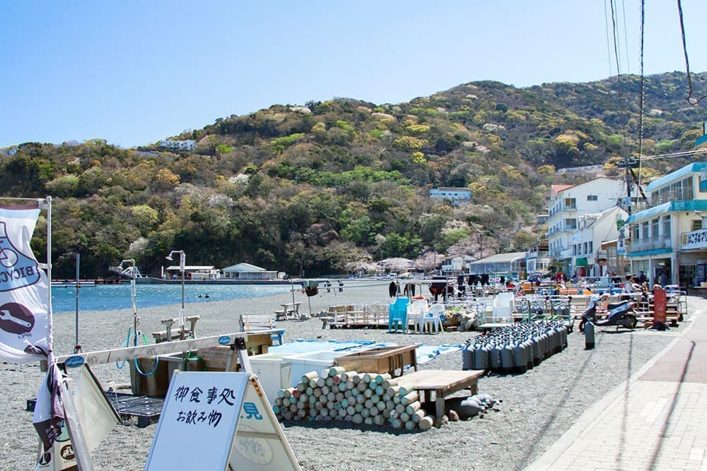 富士山　駿河湾　 西伊豆　大瀬崎・大瀬海浜商業組合
