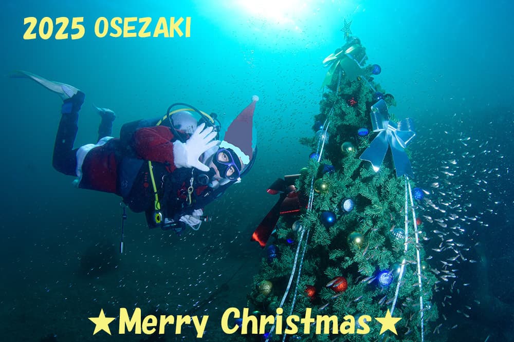 大瀬「水中クリスマスツリーイルミネーション」