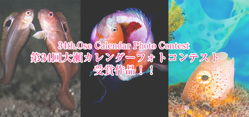 第34回大瀬カレンダーフォトコンテスト作品募集・令和8年8月1日（土）〜8月16日（日）必着