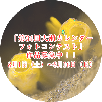 「第34回大瀬カレンダー フォトコンテスト」 作品募集中！！ 令和8年8月1日（土）〜8月16日（日）必着