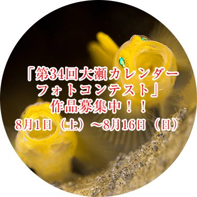 「第34回大瀬カレンダー フォトコンテスト」 作品募集中！！ 令和8年8月1日（土）〜8月16日（日）必着