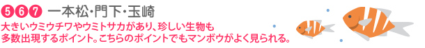 5.6.7. 一本松・門下・玉崎