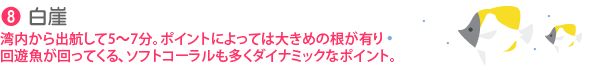 8.白崖