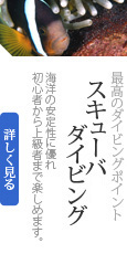 �X�L���[�o�[�_�C�r�����O