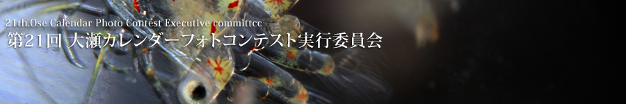 21 吣J_[tHgReXgsψ