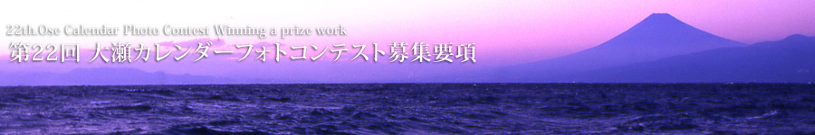 ��22��吣�J�����_�[�t�H�g�R���e�X�g��W�v��