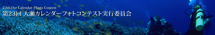 ��23�� �吣�J�����_�[�t�H�g�R���e�X�g���s�ψ���