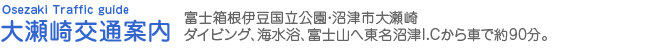大瀬崎交通案内 富士箱根伊豆国立公園・沼津市大瀬崎 ダイビング、海水浴、富士山へ東名沼津I.Cから車で約90分。
